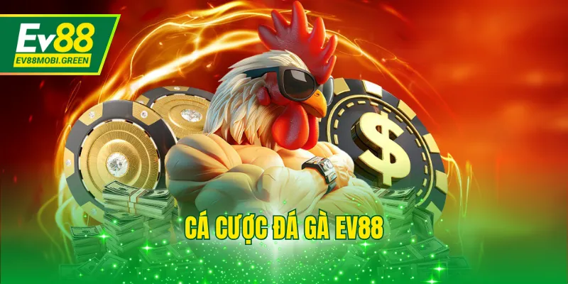 Cá Cược Đá Gà EV88 - Nhận Ngay Thưởng Hoàn Trả Tới 3%