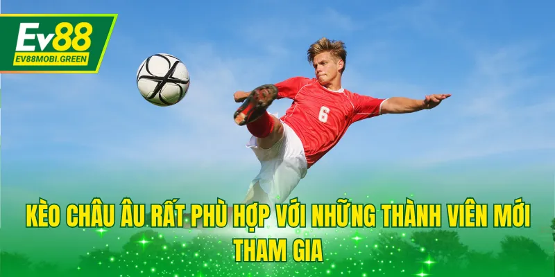 Kèo châu Âu rất phù hợp với những thành viên mới tham gia